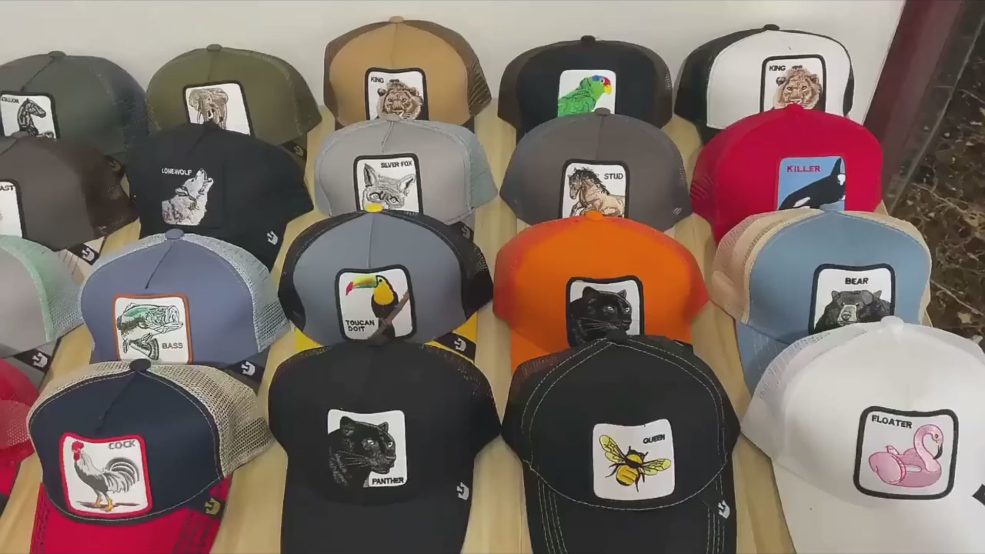 Animal Trucker Hat - Collection