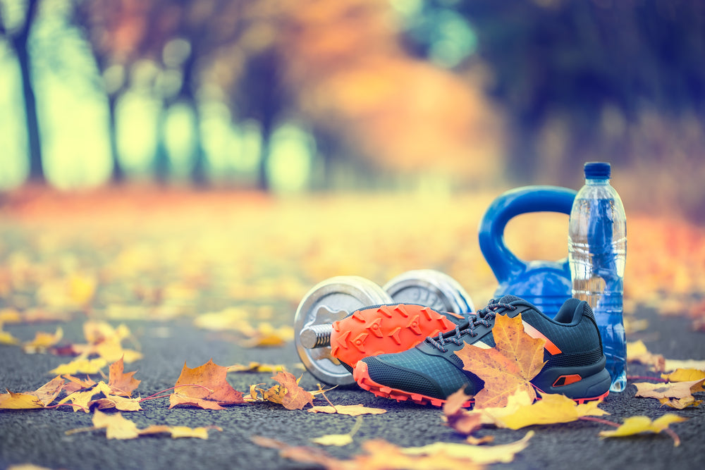 Fitness equipment by the road surrounded by yellow leaves